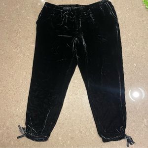 Joie “caviar” velvet jogger sweats